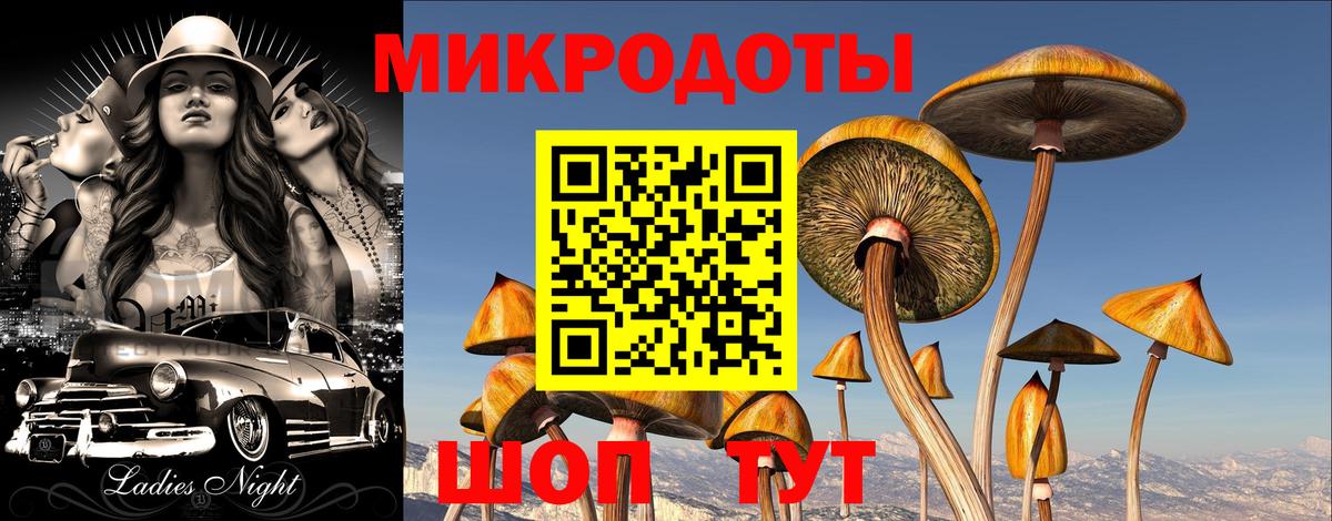 продажа наркотиков  Вход с VPN  Йошкар-Ола  Галлюциногенные грибы GOLDEN TEACHER 